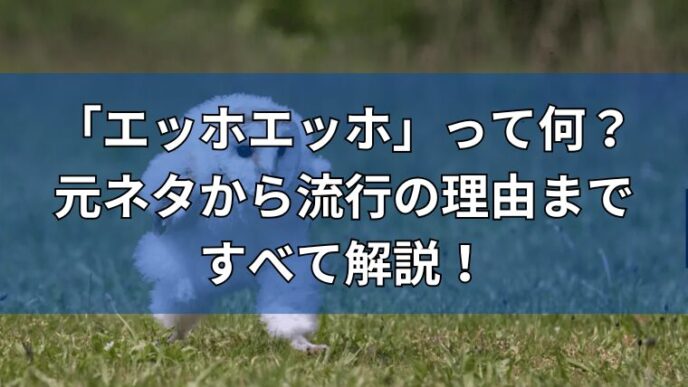 走るフクロウ。「エッホエッホ」って何？