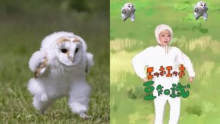 エッホエッホの歌