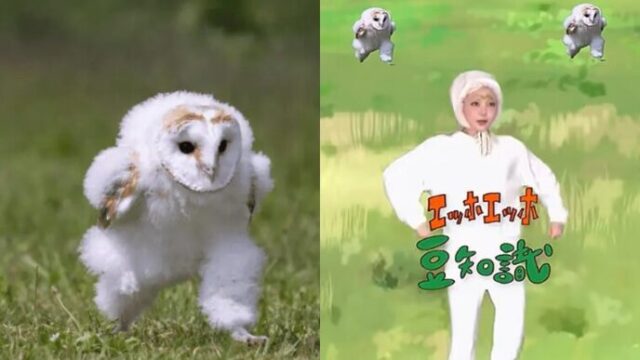 エッホエッホの歌