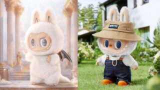 ラブブ　人気の理由を解説