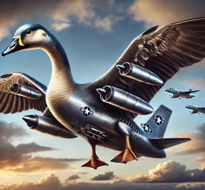 ボンボンビーニ・グシーニ（Bombombini Gusini）