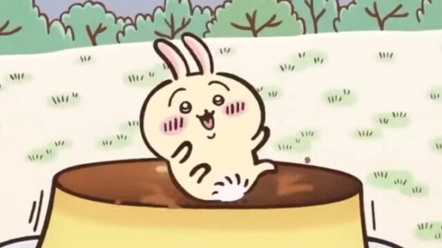 うさぎ