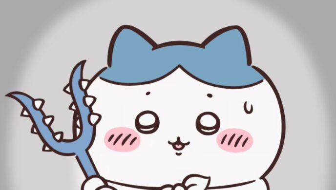 ハチワレ