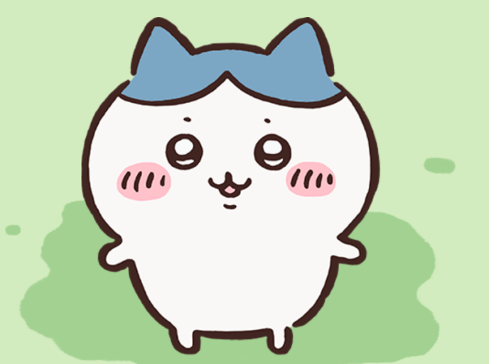 ハチワレ